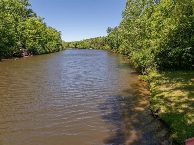 600 Innisfree Lake Dr, Innsbrook, MO 63390 - water view with a forest