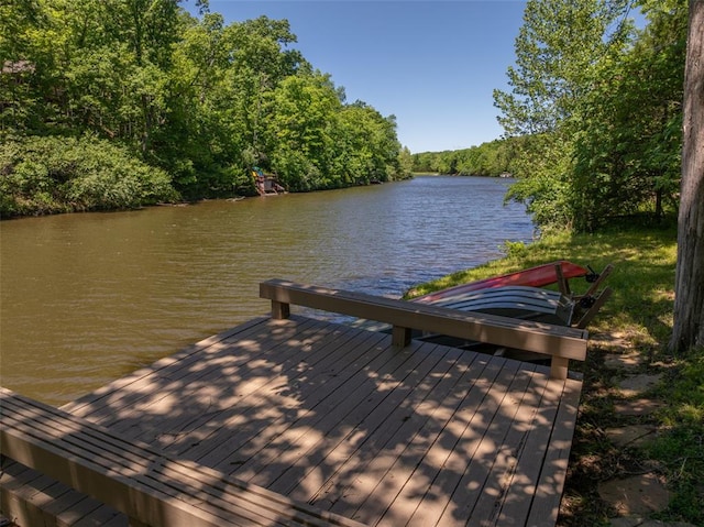 600 Innisfree Lake Dr, Innsbrook, MO 63390 - dock with a water view and a forest view