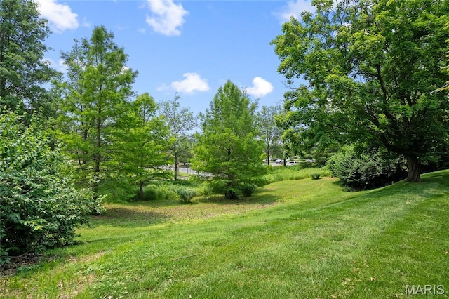 9800 Countryshire Pl, Creve Coeur, MO 63141 - view of yard