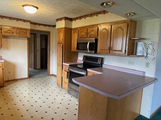 305 W Chestnut St, Dixon, MO 65459