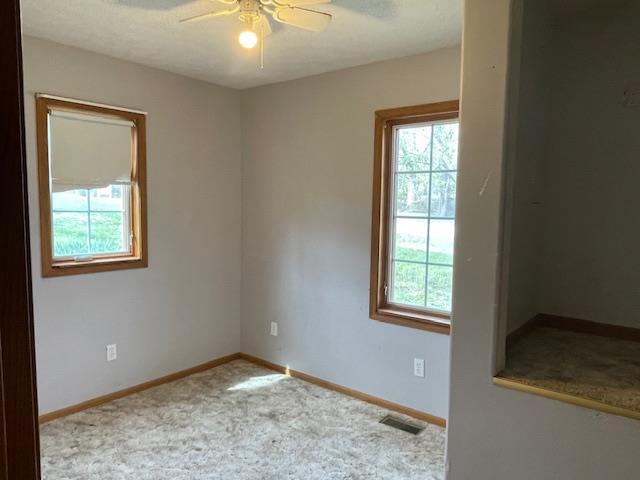 305 W Chestnut St, Dixon, MO 65459