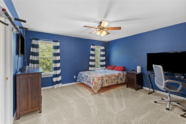 125 Matthews Dr, Wentzville, MO 63385 - photo 26