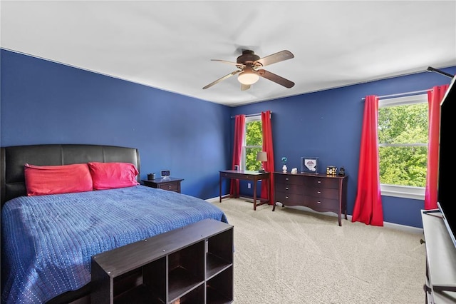 125 Matthews Dr, Wentzville, MO 63385 - photo 28