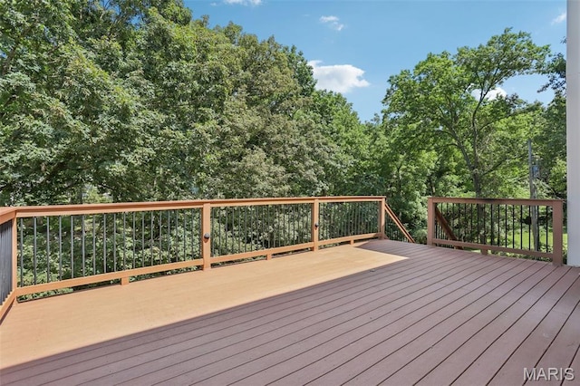 844 Culloden Rd, Kirkwood, MO 63122 - photo 45