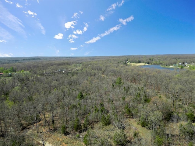 LOT15 Ozark Hts, Mineral Point, MO 63660 - photo 4