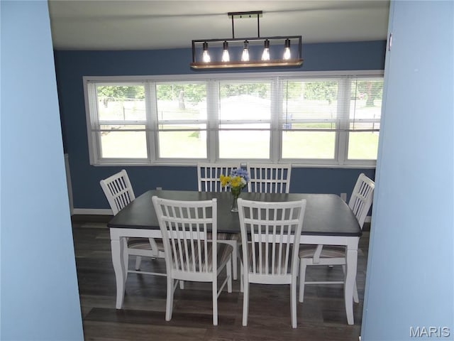 127 E 2nd St, De Soto, MO 63020 - dining room with wood finished floors