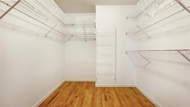 walk in closet featuring wood finished floors