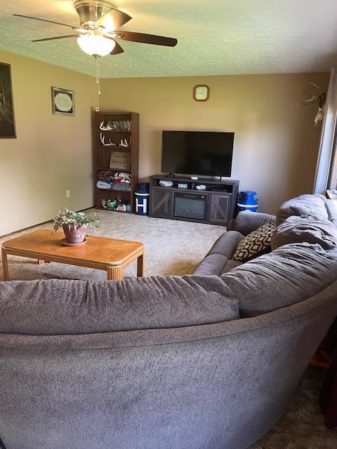 8025 Blue Mound Dr, Saint Rose, IL 62230 - photo 2