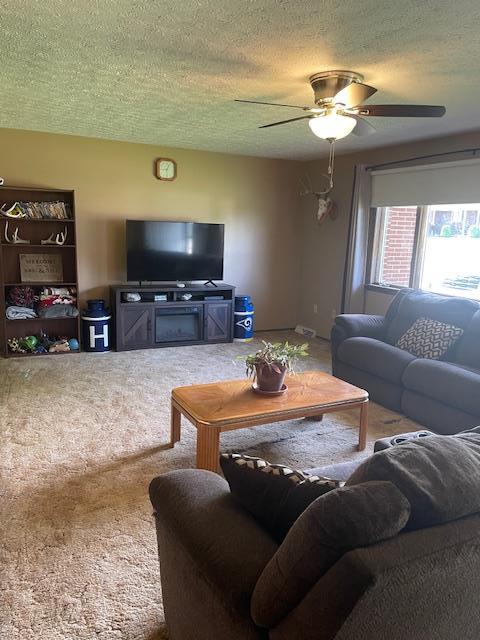 8025 Blue Mound Dr, Saint Rose, IL 62230 - photo 3