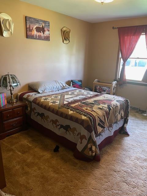 8025 Blue Mound Dr, Saint Rose, IL 62230 - photo 8