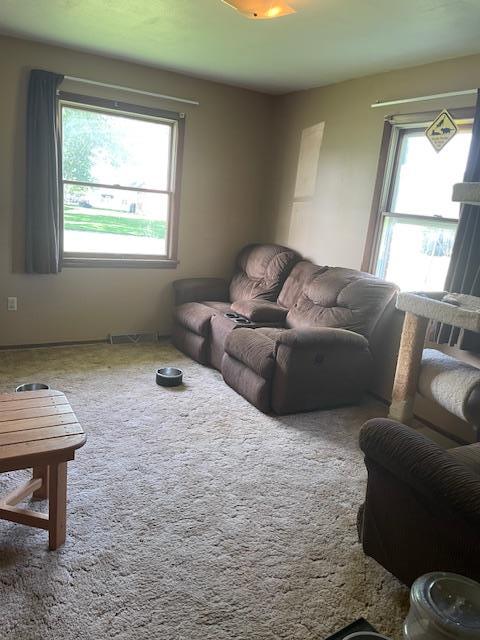 8025 Blue Mound Dr, Saint Rose, IL 62230 - photo 9