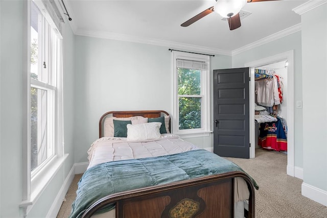 carpeted bedroom with a walk in closet, baseboards, ornamental molding, a closet, and a ceiling fan