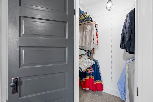 spacious closet featuring carpet floors