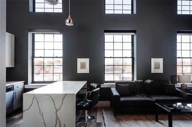 office space with a high ceiling, plenty of natural light, and wood finished floors