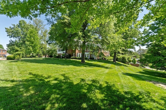 15 Briarcliff Rd, Ladue, MO 63124 - view of green lawn