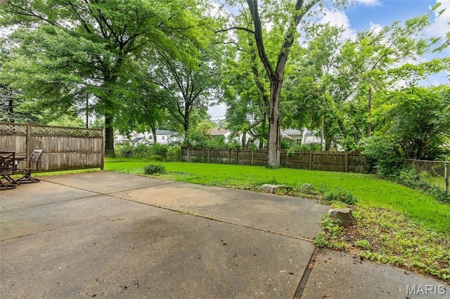 165 Saint Daniel Ln, Florissant, MO 63031 - view of yard featuring a patio