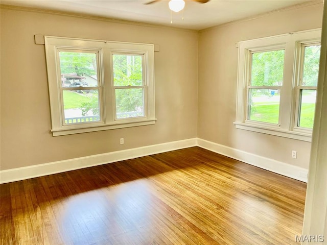 11347 Oak Ave, Bridgeton, MO 63044 - photo 9