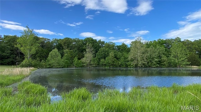 11370 County Road 5220, Rolla, MO 65401 - water view featuring a heavily wooded area