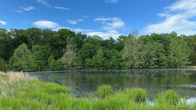11370 County Road 5220, Rolla, MO 65401 - water view featuring a forest