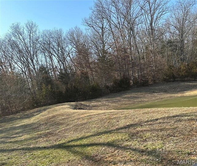 7011 Browns Ford Rd, Dittmer, MO 63023 - view of grassy yard