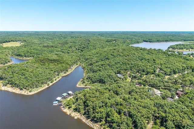 drone / aerial view of a forest and a nearby body of water