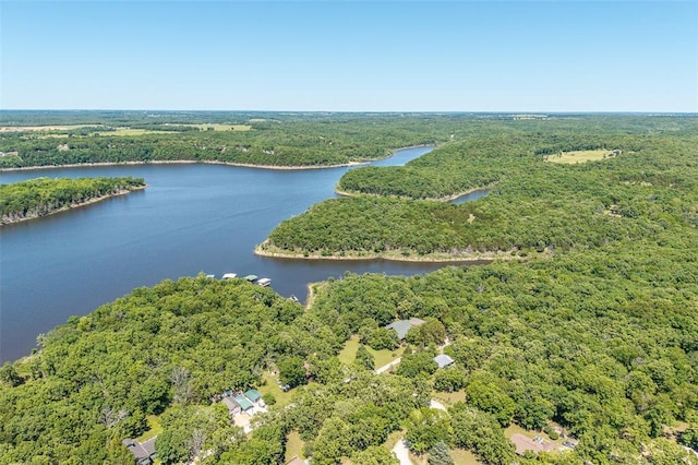 bird's eye view of a heavily wooded area and a nearby body of water