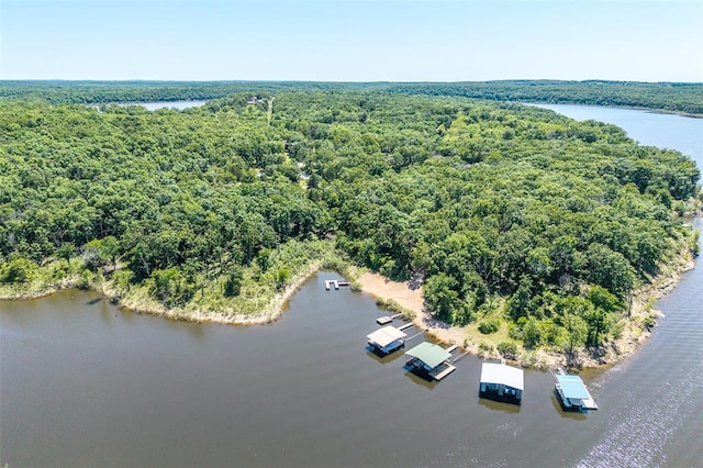 bird's eye view of a heavily wooded area and a large body of water