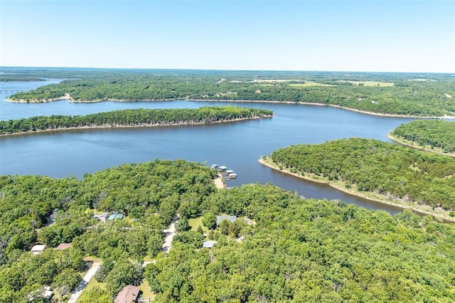 aerial view of a heavily wooded area and a nearby body of water