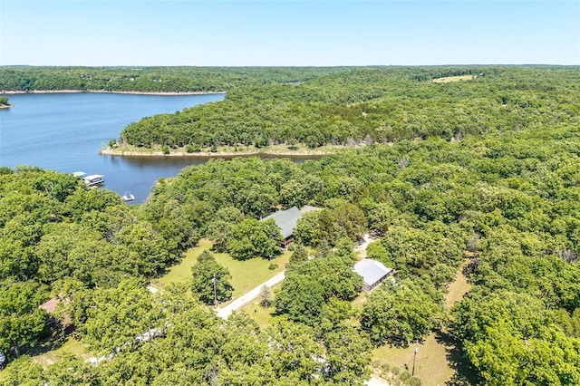 aerial view of a nearby body of water and a forest