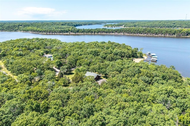 bird's eye view of a heavily wooded area and a nearby body of water