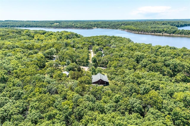 aerial view of a forest and a nearby body of water