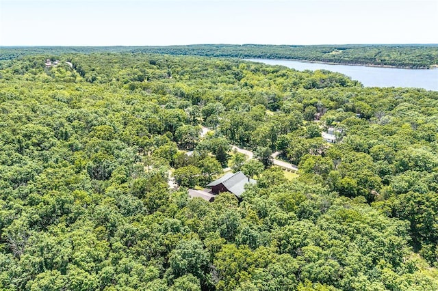 aerial view of a nearby body of water and a heavily wooded area