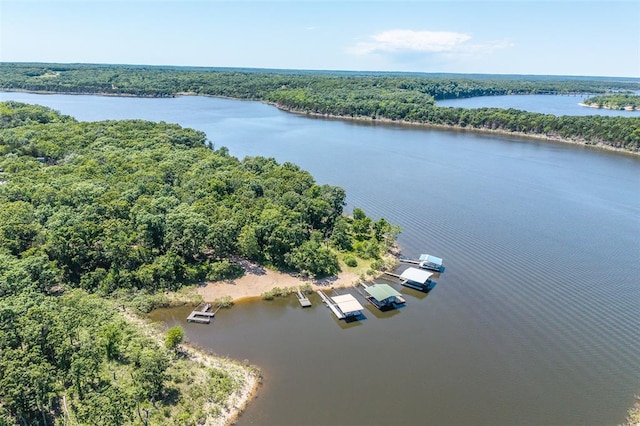 drone / aerial view of a heavily wooded area and a nearby body of water