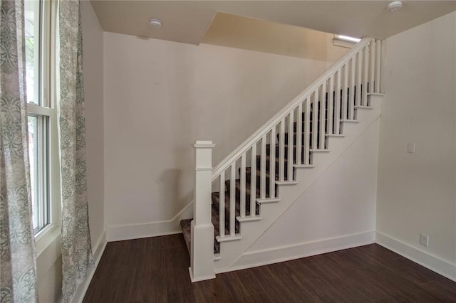 210 W Elm St, Alton, IL 62002 - staircase with wood finished floors, plenty of natural light, and baseboards