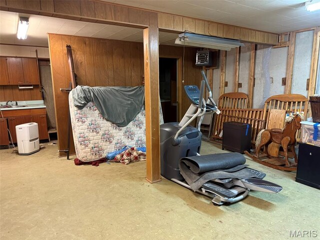 414 Hillcrest Dr, Sullivan, MO 63080 - below grade area featuring wooden walls, a sink, and carpet