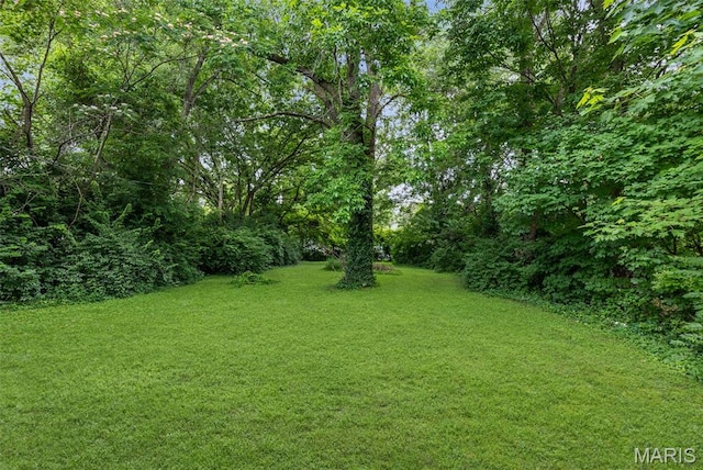 6446 Old Collinsville Rd, Ofallon, IL 62269 - view of green lawn