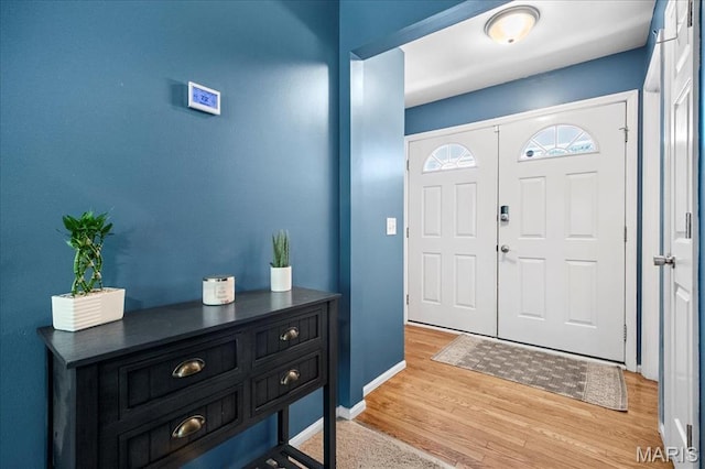 7413 Cinnamon Teal Dr, Ofallon, MO 63368 - foyer with light wood-type flooring and baseboards