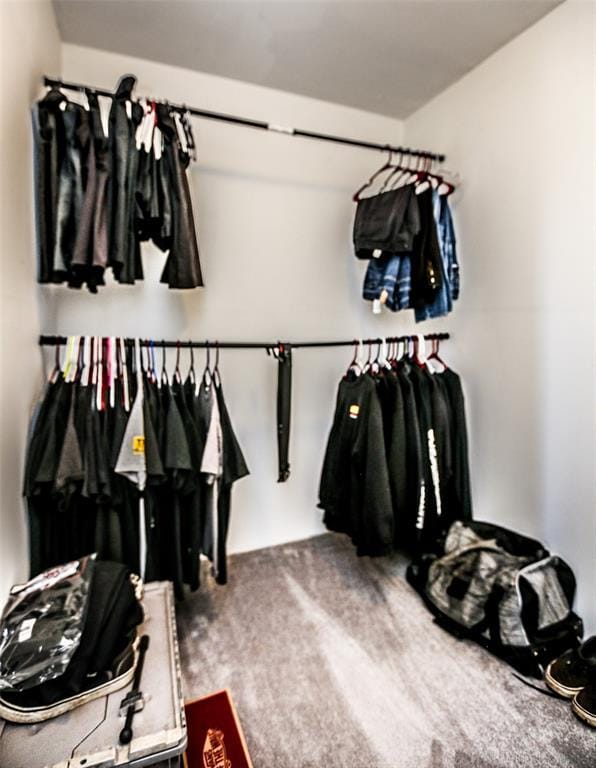 6195 Cedar Springs Rd, Cedar Hill, MO 63016 - spacious closet with carpet flooring