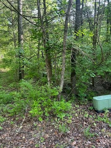 LOT3 Timberline Dr, Hillsboro, MO 63050 - photo 2