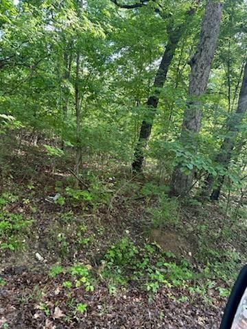 LOT3 Timberline Dr, Hillsboro, MO 63050 - photo 3
