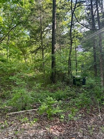 LOT3 Timberline Dr, Hillsboro, MO 63050 - photo 4