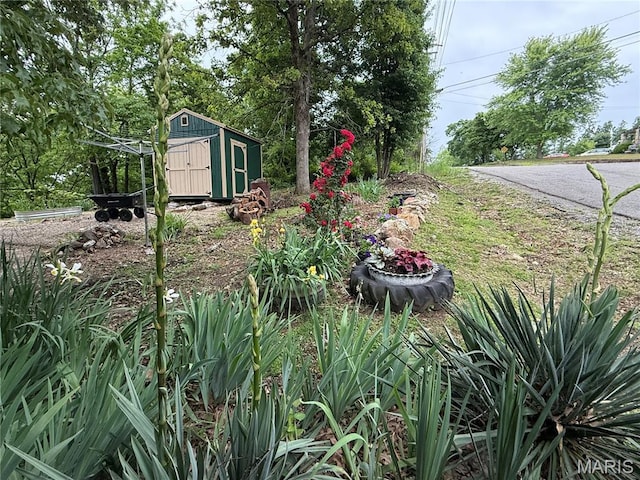 929 Race St, Thayer, MO 65791 - view of yard featuring a storage unit