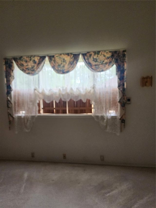 608 Henderson Ave, Canton, MO 63435 - photo 34