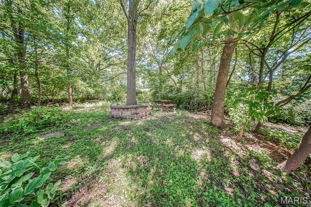 701 Brighton Ct, Rolla, MO 65401 - photo 52