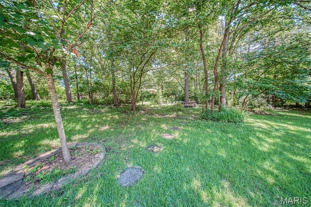 701 Brighton Ct, Rolla, MO 65401 - photo 53