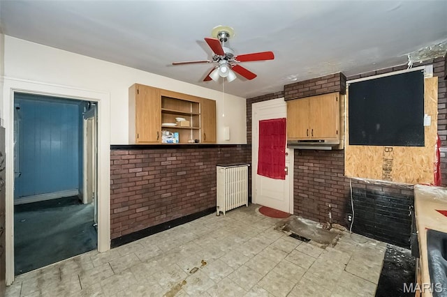 4545 Alice Ave, Saint Louis, MO 63115 - kitchen with extractor fan, a ceiling fan, open shelves, light floors, and brick wall