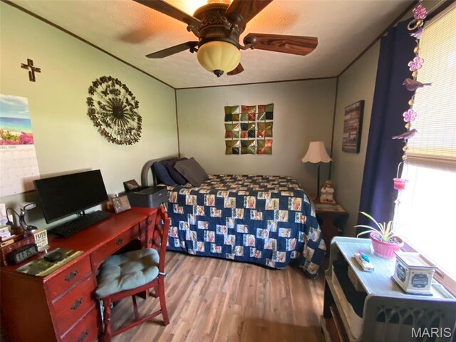 502 N St, Witt, IL 62094 - photo 19