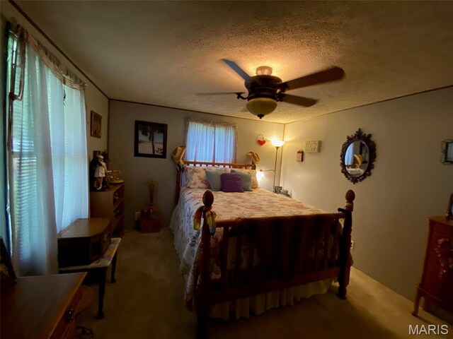 502 N St, Witt, IL 62094 - photo 25
