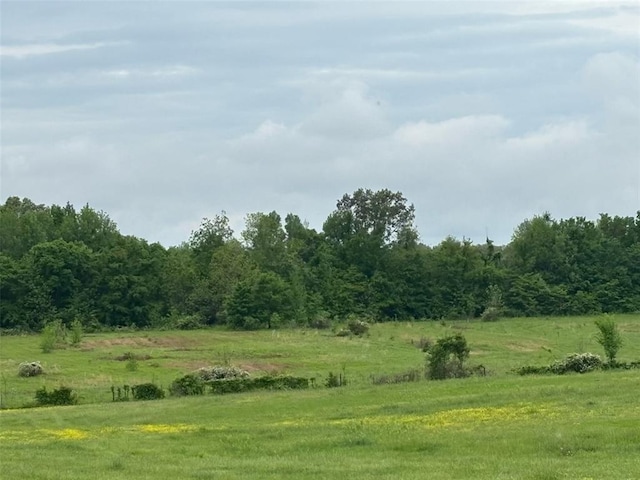 0 County Road 249, Bloomfield, MO 63825 - photo 1