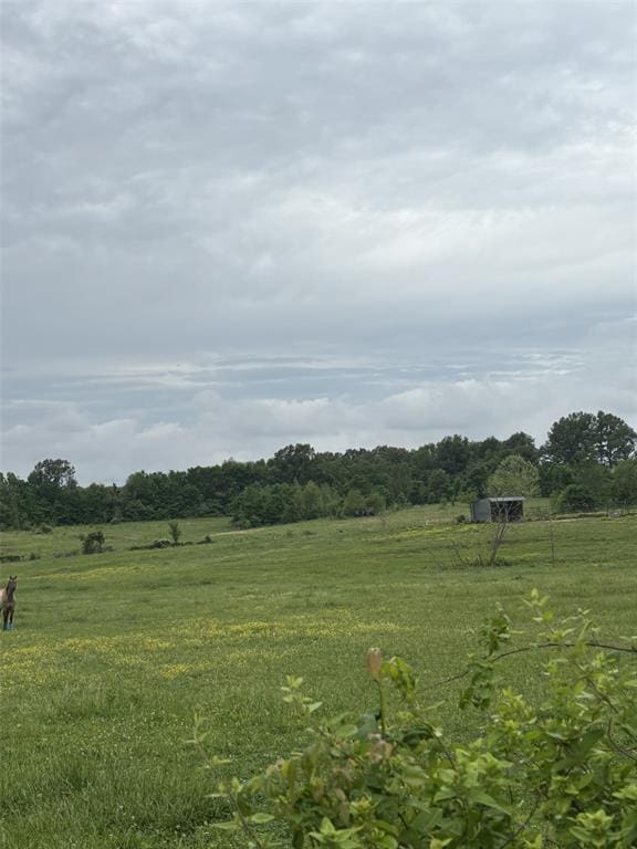 0 County Road 249, Bloomfield, MO 63825 - photo 2